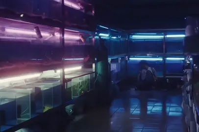 em oi cu vui #keonho #ahnkeonho #cortis #emoicuvui #xh 