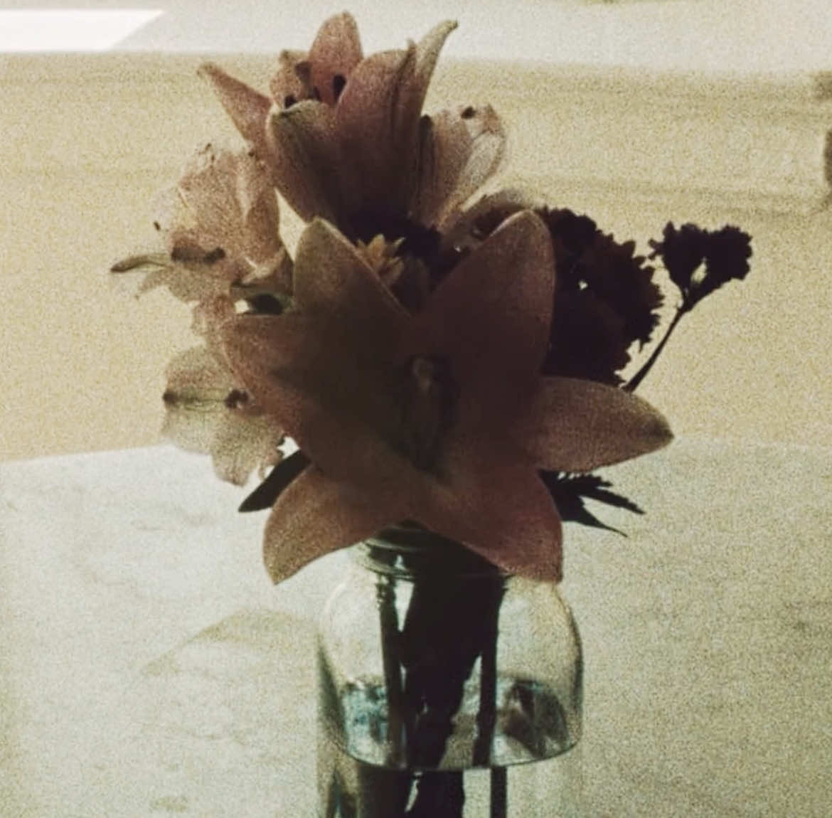 extraordinary                                                  #gemmascout #severance #edit #fyp #foryou 