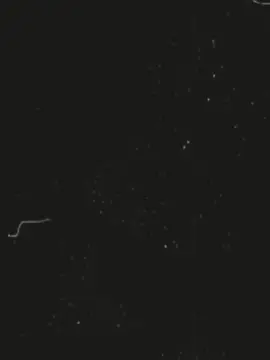 জয় বাংলা জয় বঙ্গবন্ধু 💥✅ #জয়_বাংলা_জয়_বঙ্গবন্ধু🇧🇩 #ছাএলীগ 