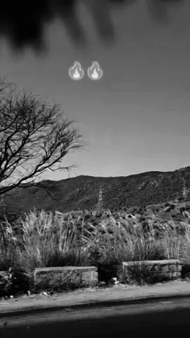 Ajeeb log 😈🫡🫡#عثمان #علی #راں👑 #foryoupage❤️❤️ #@Not your mukaramgoraya 👑 @حسن،گوراءیہ،چیلیکی،الہ،🍹🔥 