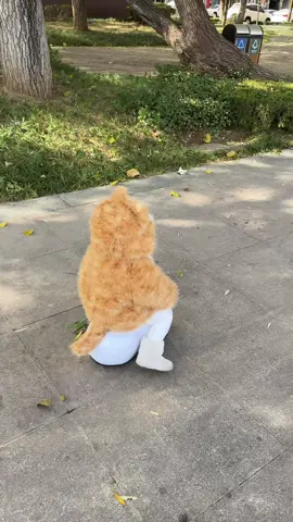 Này đã đủ wow chưa ạ#béyêu #sausua #giàychobé #tiệmbésâusữa #quanaotreem 