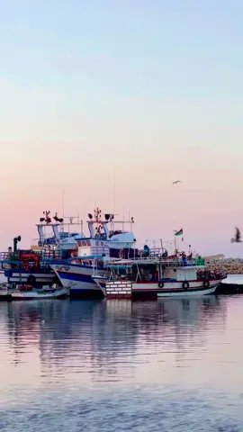 #fyp #gabes #explore #videoviral #meme 