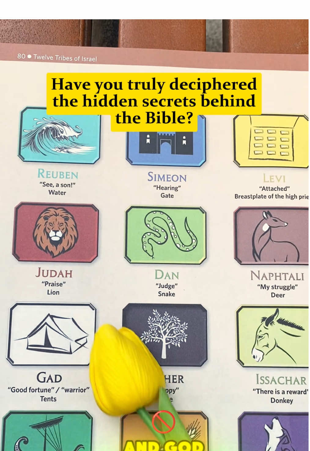 Think you know the Bible? Rose’s charts reveal its true, detailed truth. #rosebookofbiblecharts#biblestudytools#biblecharts#christiansoftiktok
