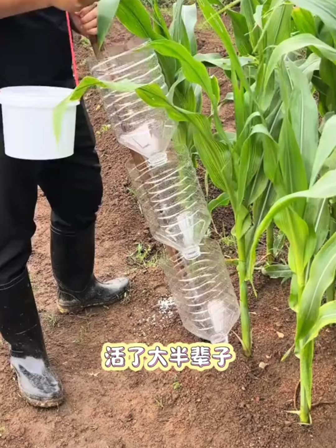 Mẹo hay #meohay #meobephay #meohaycuocsong