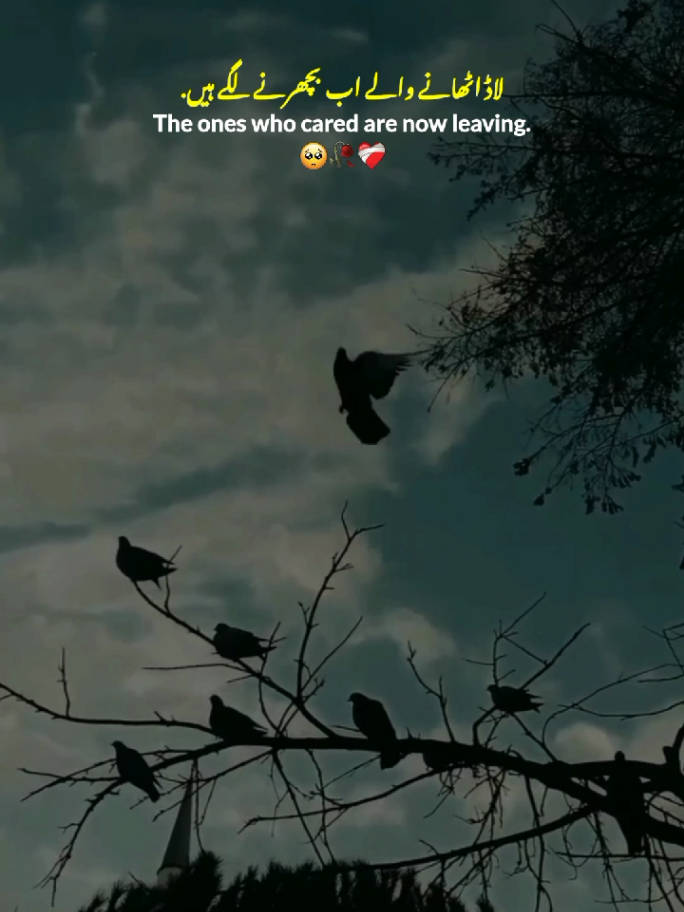 They are Leaving 🥺💔 || Relationship Sad Lines 🥺 || Love Sad Lines 💔 || Broken Status 💔 || New Status Video ✨ #fyp  #sad #broken #lines #statusvideo 