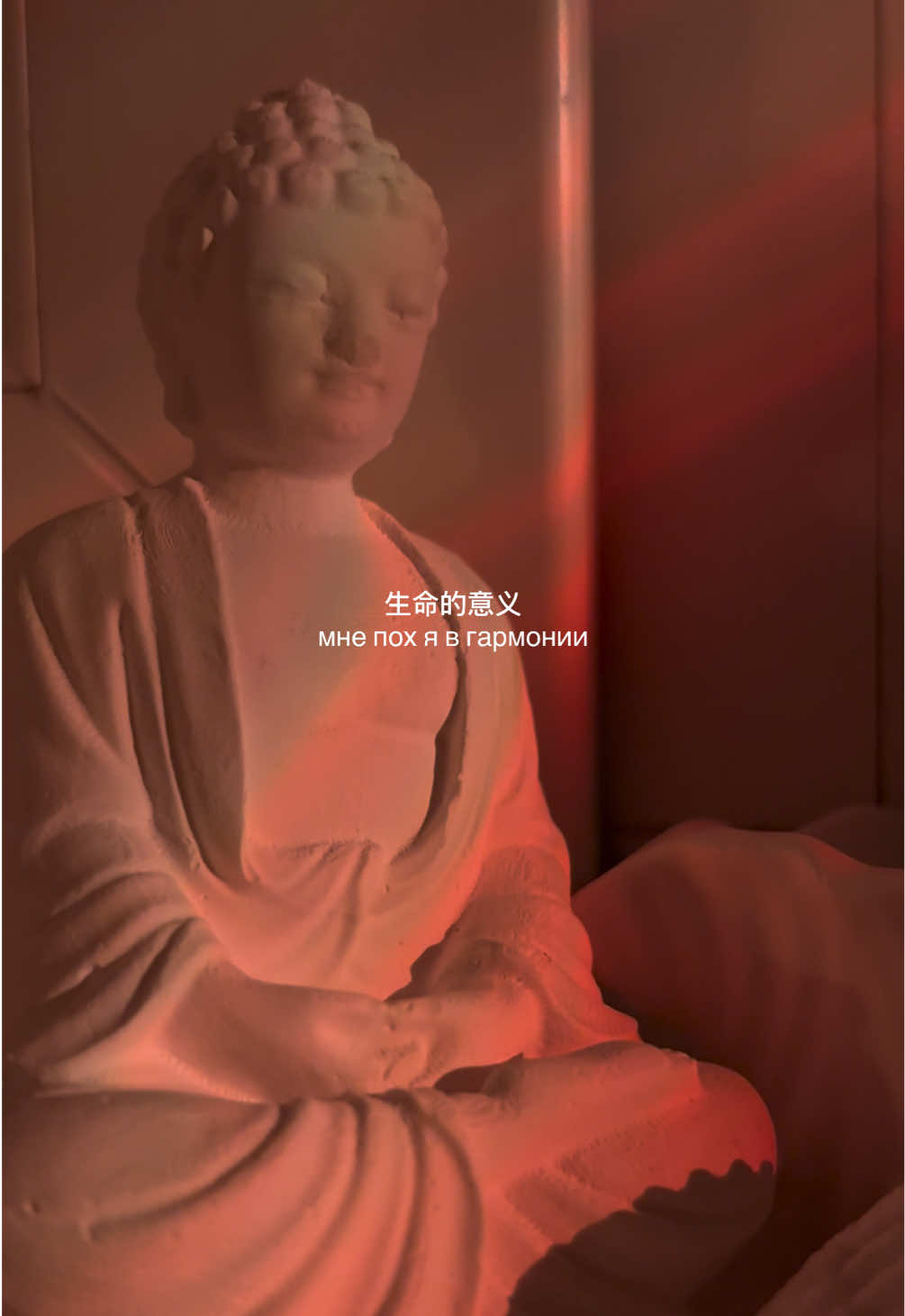 истинна ребята #buddism #fypシ゚ #buddha 