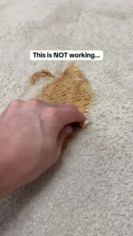 You already know that feeling when your pets make a mess… but this time, you’re lowkey excited to clean it up. 🧼 The Shark StainStriker blasts stains, odor, and grime with heated suction and dual cleaning formulas..it’s like a power washer for your carpets and couches. @Shark Home   #tiktokshopcreatorpicks #tiktokshopblackfriday #tiktokshopcybermonday #NewFunPicks #superbranddayBFCM