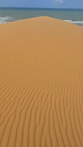 مستغانم #الجزائر_تونس_المغرب #شعب_الصيني_ماله_حل😂😂 