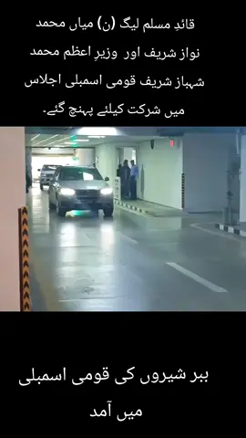 # janjua birds# #‏قائدِ مسلم لیگ (ن) میاں محمد نواز شریف اور  وزیرِ اعظم محمد شہباز شریف قومی اسمبلی اجلاس میں شرکت کیلئے پہنچ گئے۔# #foryou grow virel TikTok unfreez account# #1000k views#