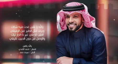 ميدلي 2025 #عبدالمنعم_العامري 