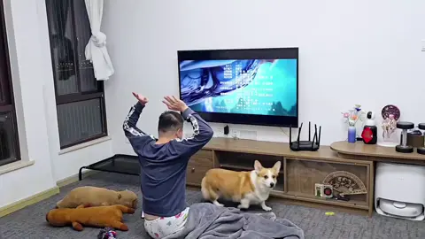 Bắt đầu tính tới 