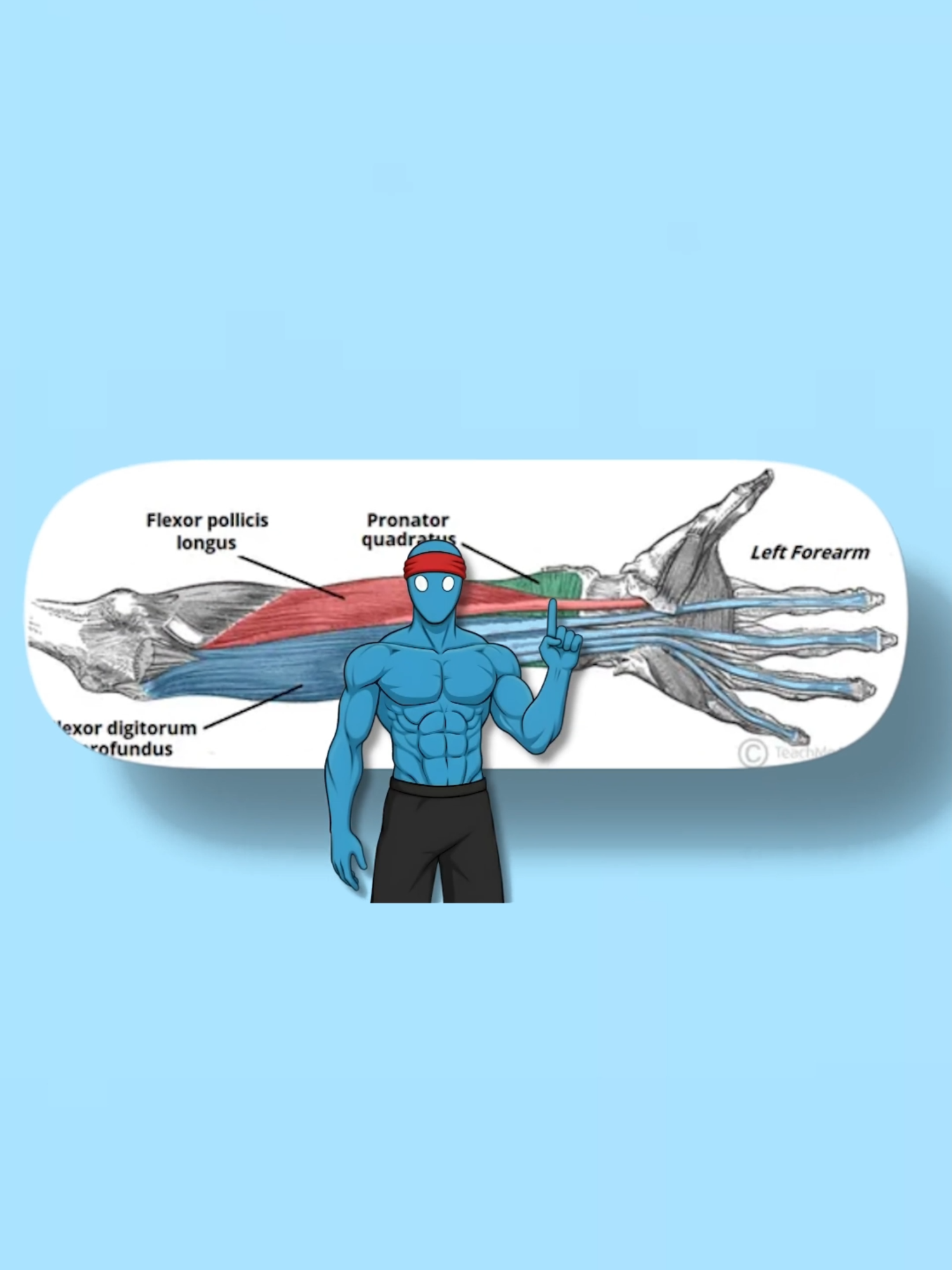 Get Massive Forearms At home With only 3 Exercices #gym #calisthenics #biceps #forearm #workout #Fitness #GymTok #foryoupage