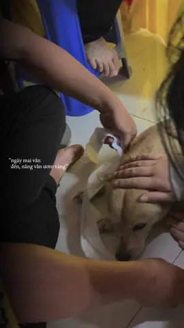 #CapCut cũng là 1 phần trong gia đình cháu của ngoại... 🖤