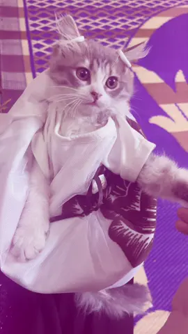 راح نزوجها لان رسبت بل سادس 😂تابعوني #شعب_الصيني_ماله_حل😂😂 #مالي_خلق_احط_هاشتاقات #بزونهہ🐈 #سادسيون_نحو_المجد #سادسيون 