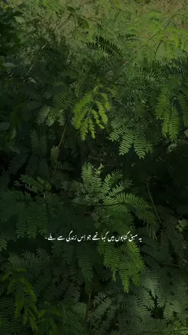 #foryou #creatorsearchinsights 