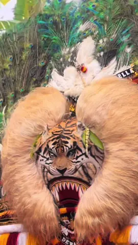 #boloreog #storyreog #fyp