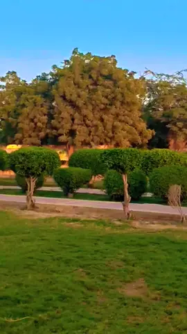 @Abdul Majeed Nohri N 