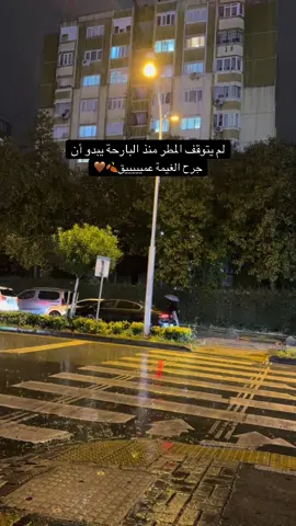 #مطر#شتاء_البرد_اجواء_شتويه #تصويري_احترافي_الاجواء👌🏻🕊😴 