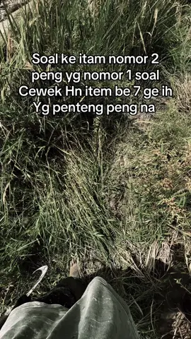 #pejuwangrupia💸🤙 #petaniindonesia🇮🇩🇮🇩🇮🇩🌿🌿 #bimo #opratormuda ##fyp 