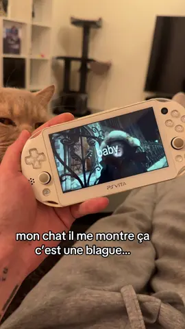 mon chat il a des bons goûts #noshi #NewMusic #pourtoi 