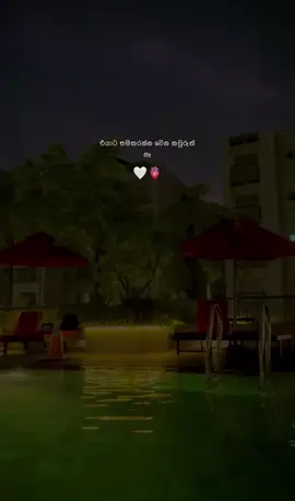 🤍💐🥺 #creatorsearchinsights #tharu_ranmith #couplegoals #vira #foryou @Ranmith 🏎️💨 