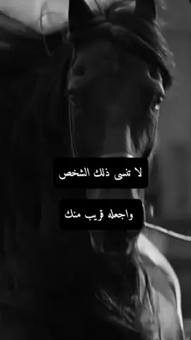 #اكسبلور #المهرة🐎#تصميمي #عبارات #foryoupage 