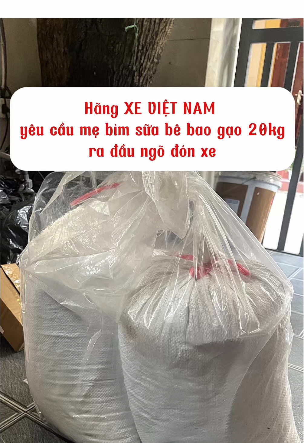 Hãng XE VIỆT NAM yêu cầu mẹ bỉm sữa bê bao gạo 20kg ra đầu ngõ đón xe #CapCut #mebimsua #dulichvietnam #ninhbinh #hanoi 