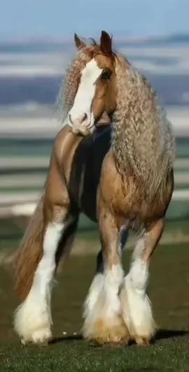 #سبحان_الله_وبحمده_سبحان_الله_العظيم #فاطمة_الحريري 