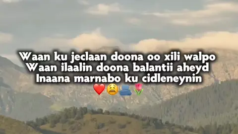 marnabo ku cidleneynin..🥺❤️🫂🌷💕.. #foryoupage❤️❤️#Biibaaye#soomalitiktok 