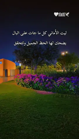 ليت الأماني كل ما جات على البال..🥹🕊️🕊️🕊️ #🌹🌹🌹🌹🌹🌹🌹🌹🌹🌹🌹🌹 #الحب #حبيبي #احبكم  #المشكى_على_الله                                         