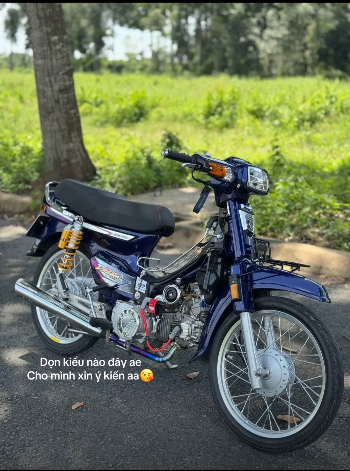 Cho mình xin ý kiến aa#dreamdokieng #xhtiktok #dream