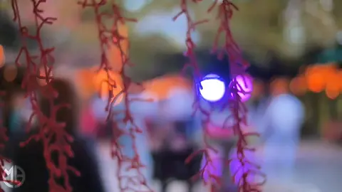 Xasan Aadan Samatar | Haradigeed | Qaraami bilaa music ah #heesbilaamusic #foryourpage #somalitiktok #qaraami 