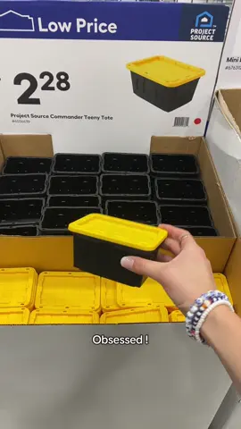 WHY ARE THESE SO ADORABLE  #lowestotes #lowesfulfillment #loweshomeimprovement #paintdesk #lowespaint 