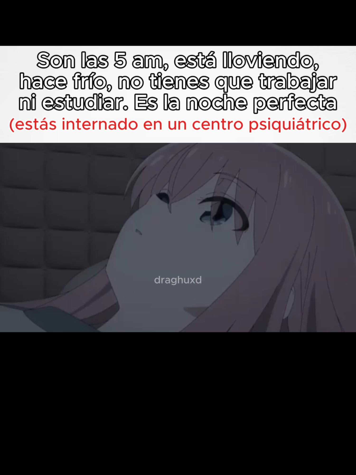 bocchi momento #animefyp #bocchitherock #fyp #humor #meme