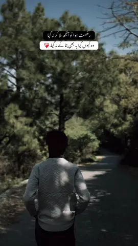 یہ بھی بتا کے نہ گیا.❤️‍🩹#peotry #fyp #viral #trending #peotrystatus 