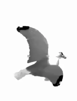 اسود يا عبد ارجوك طلگني #اغاني_مسرعه💥 #تصميم_شاشة_سوداء #مالي_خلق_احط_هاشتاقات #fyp #foryou 