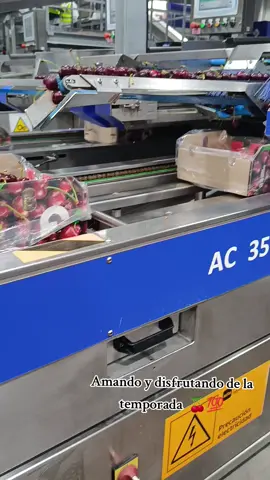 mis favoritas 🍒10/10 comiendo 24/7 sin problema 🤍✨