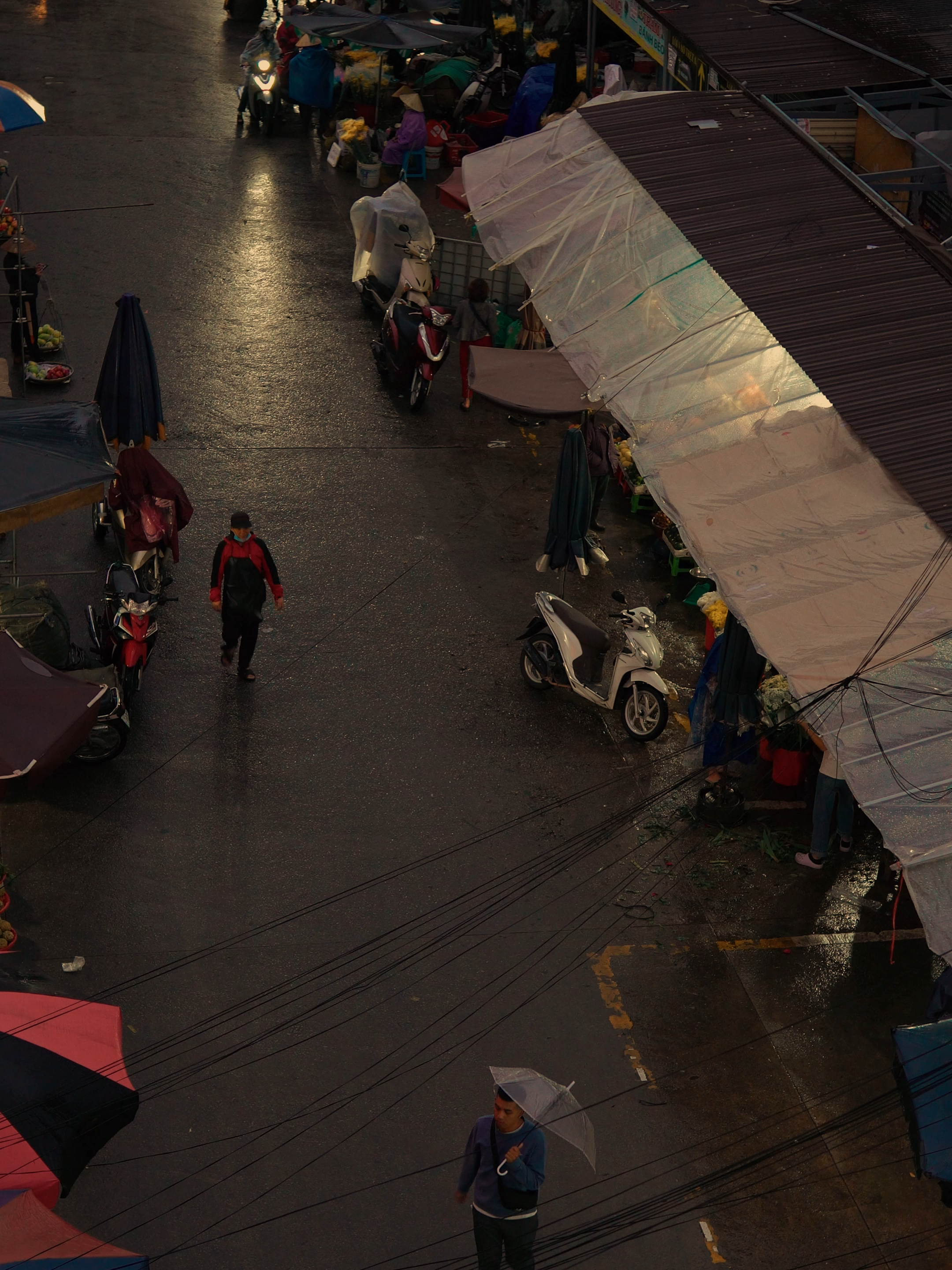 Trong một khoảnh khắc nào đó, tôi đã nghĩ cậu không giống họ. #dalat #sony #sonyalpha #cinematic #vietnam #travel