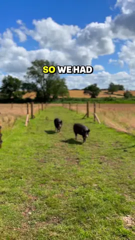 ⚠️ Modern life is poisoned. ☠️ The food. ☠️ The water. ☠️ The medicine. ☠️ The mindset That’s why we checked out of society. Got land. Went off-grid. Started producing our own food, water, and energy. And built a like-minded community. 🌱 If you want to do the same... 👥 Inside the Wild Minds Network, we’ll show you how. You’ll get the guidance, education, and connections you need to: ✅ Access land ✅ Go off-grid for water and energy ✅ Grow your own food ✅ Build your tribe ✅ And escape the system 🔗 Click the LINK IN BIO 🚀 And get started today