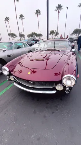 Ferrari 250 Gt Lusso #ferrari #lusso #gtl #classicferrari #carsoftiktok