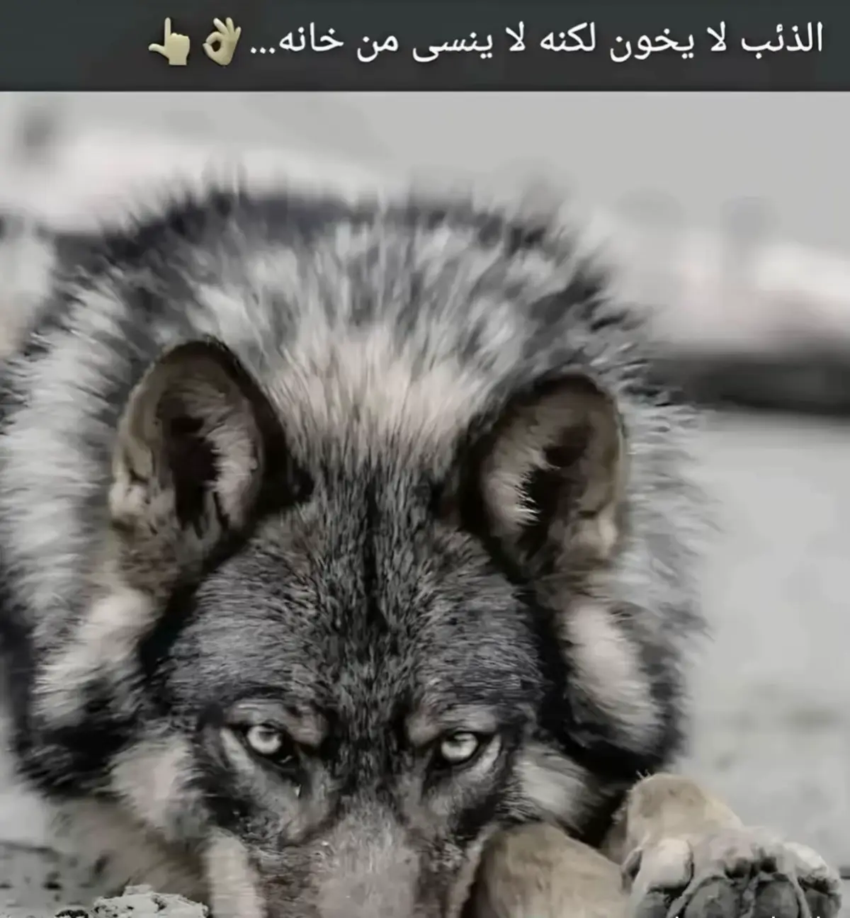 لا يترك اثرا الا من تحدى الصعاب بثقة ومن خاف هان، ومن واجه انتصر....