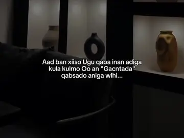 I am very excited to meet you and shake you hand..