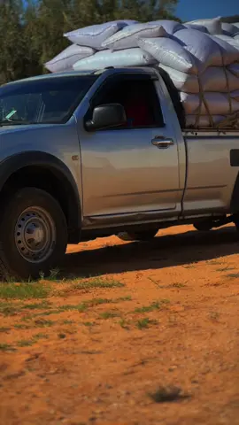 #الرقاب #regeub #تصميم_فيديوهات🎶🎤🎬 ##tunisia🇹🇳_algeria🇩🇿❤️🇹🇳❤️🇵🇸❤️🇱🇾❤️ #tunisia🇹🇳_algeria🇩🇿❤️🇹🇳❤️🇵🇸❤️🇱🇾❤️ 