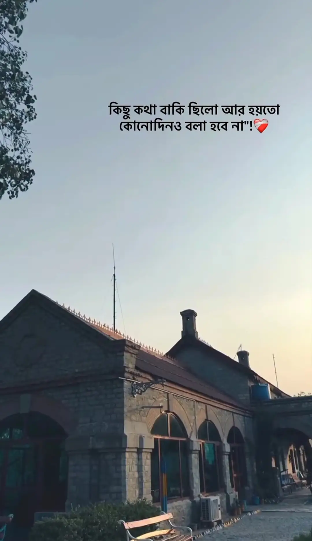 #Outfit cowok berwarna#fyp 