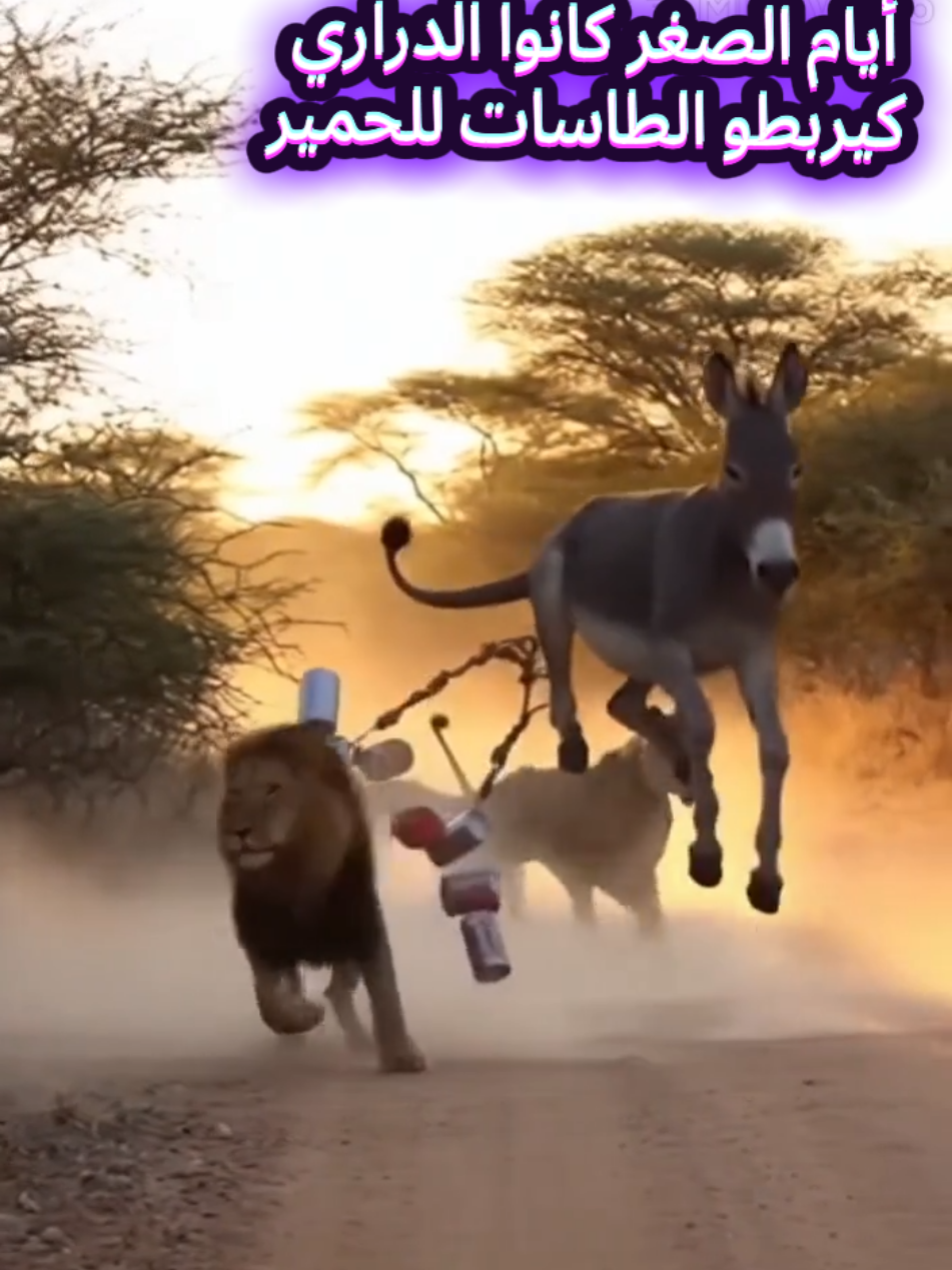 أيام زمان الأطفال كانوا يربطون الحبل بأرجل الحمار علب السردين او الحليب لإخافة الناس #funny#animals #pourtoii #donckey #lions 