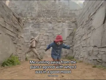 Paddington meme??? #paddingtonbear #paddington #goodmood #fyp #runaway 