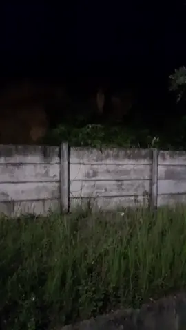 penampakan pocong#penampakan #misteri #pocong 