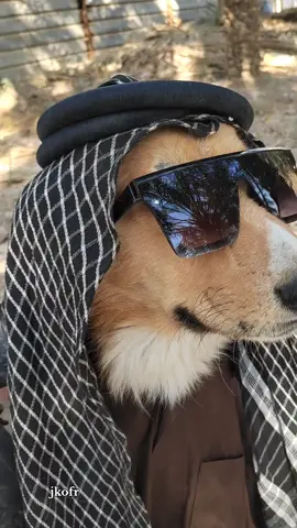 هم تعرف هيج شخصية  التاك الك @👉 #الشعب_الصيني_ماله_حل😂😂 #ترند #الشعب_الصيني_ماله_حل😂😂 