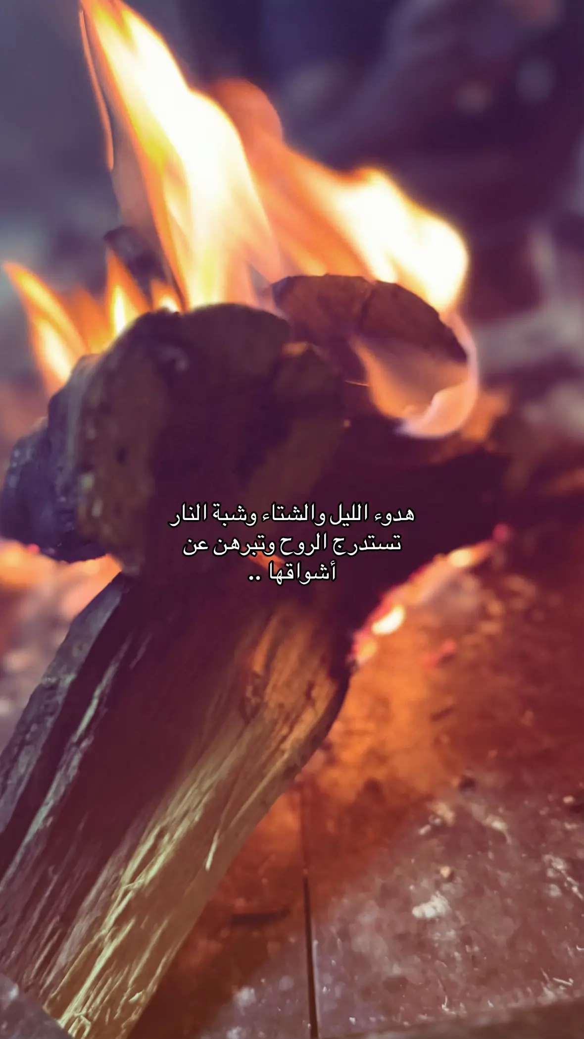 #تصويري📸اكسبلوور #كلام_في_الصميم #اكسبلورexplore❥🕊🦋💚❤🕊️habiby #مالي_خلق_احط_هاشتاقات🧢🙂😂 #اكسبلورexplore 