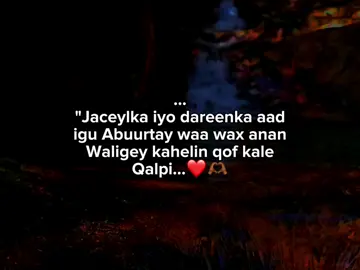 ❤️‍🔥🥹🌷